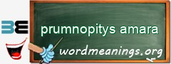 WordMeaning blackboard for prumnopitys amara
